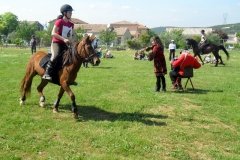 Fête du cheval à Fontanès